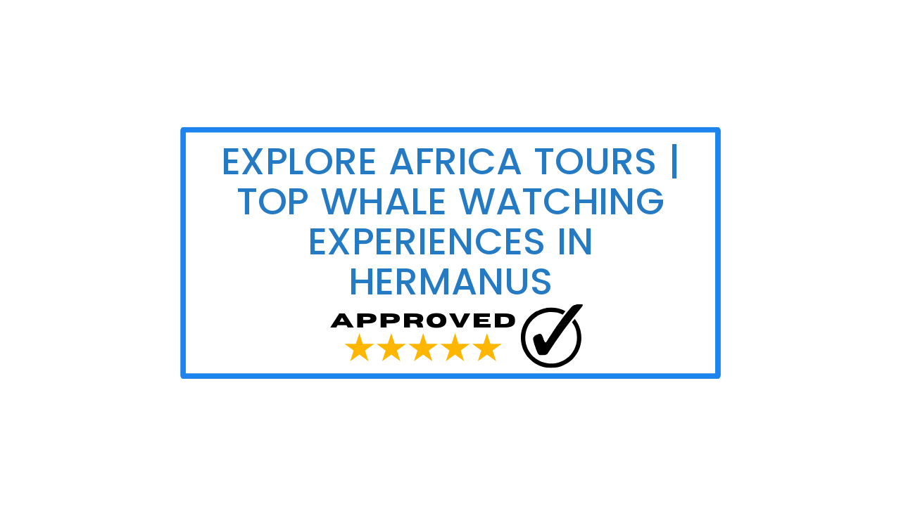 Explore Africa Tours | Top Whale Watching Experiences in Hermanus