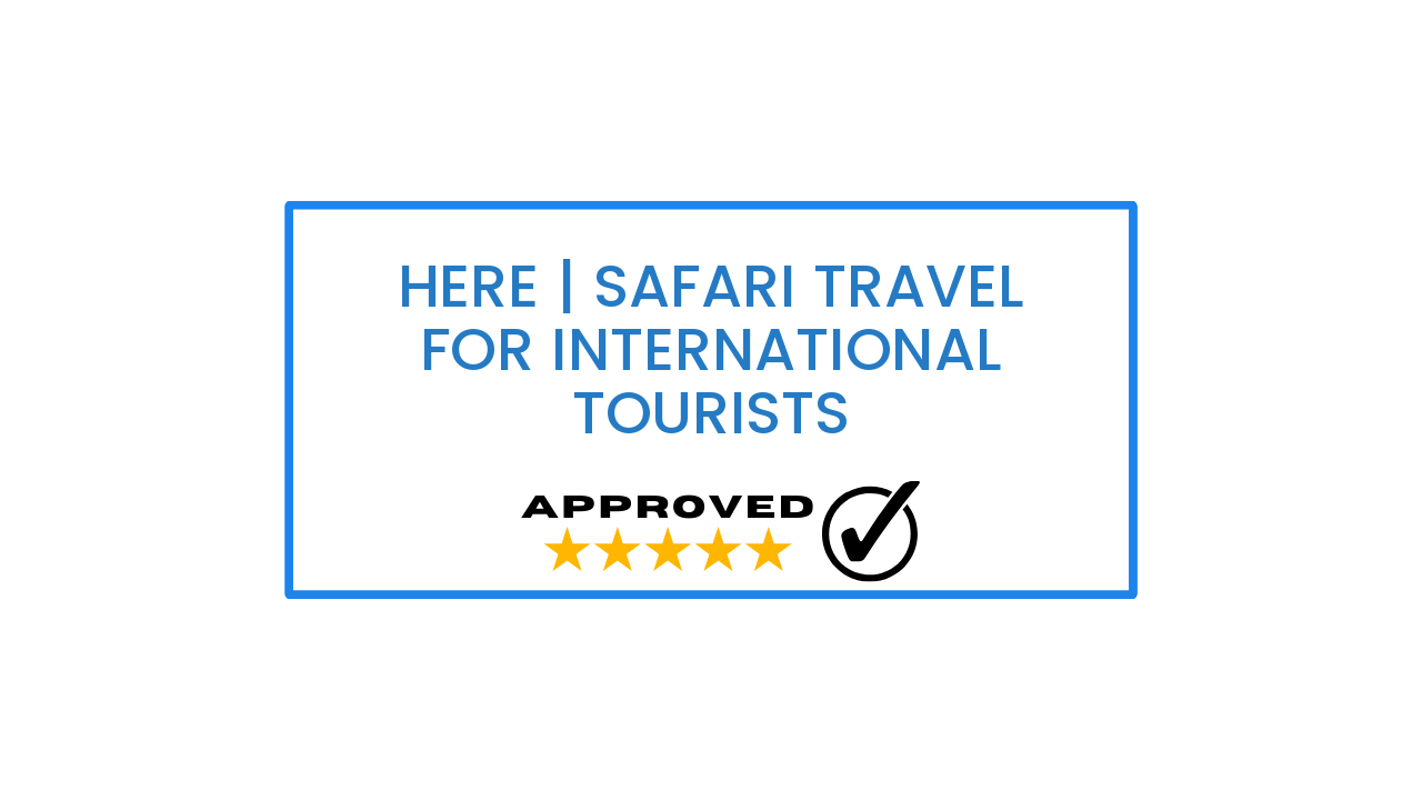 Here | Safari Travel for International Tourists